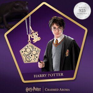 Harry Potter Chocolate Frog Card necklace, 925 Sterling Silver Charmed Aroma